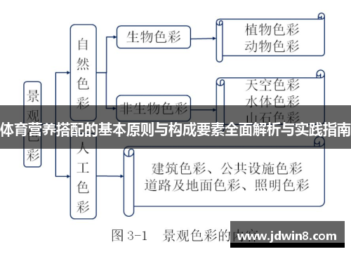 体育营养搭配的基本原则与构成要素全面解析与实践指南